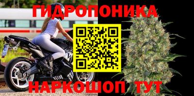 стаф Ирбит